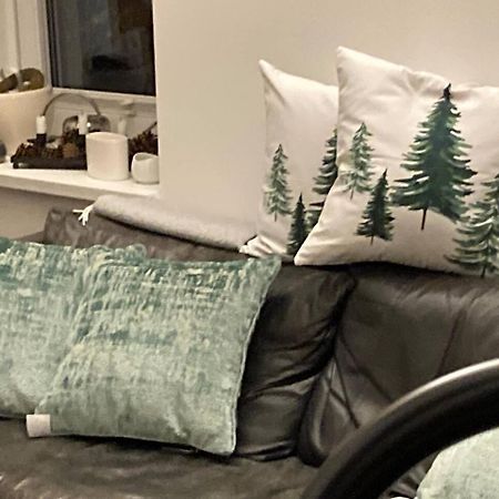 Neues Penthouse-Loft Mit Konuskarte Fuer Gratis Oepnv Apartment Ehrenkirchen Luaran gambar