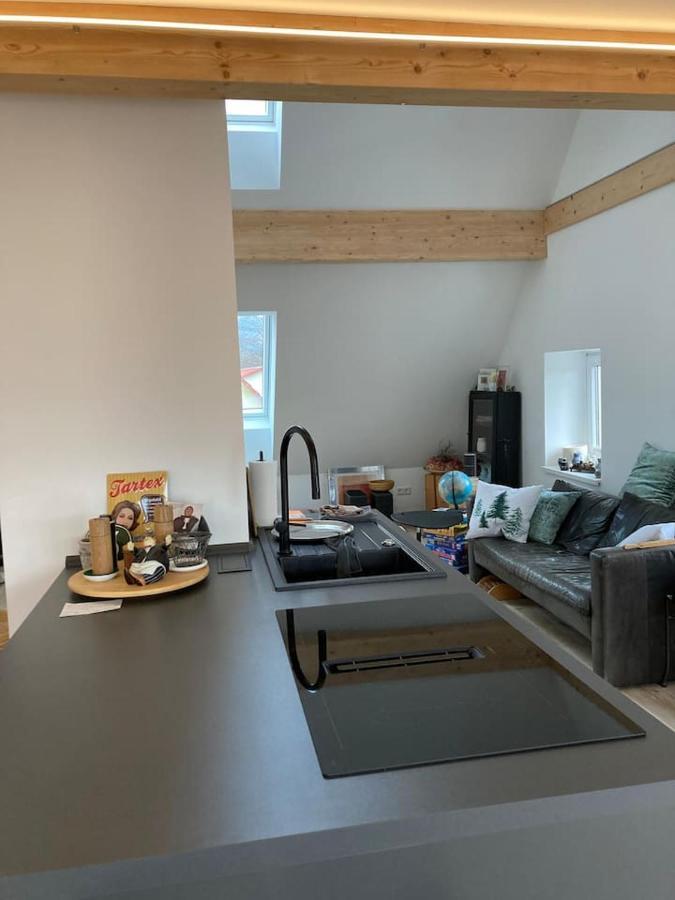 Neues Penthouse-Loft Mit Konuskarte Fuer Gratis Oepnv Apartment Ehrenkirchen Luaran gambar
